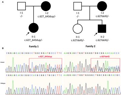 Screening of the TMEM151A Gene in Patients With Paroxysmal Kinesigenic Dyskinesia and Other Movement Disorders